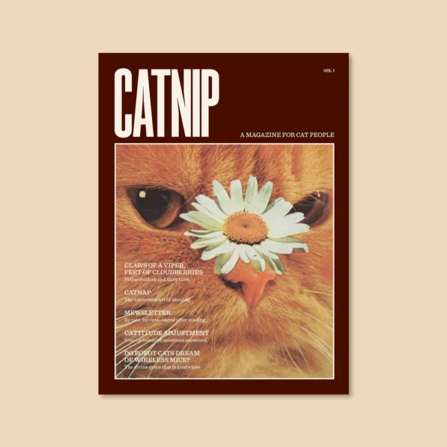 Magazine Catnip