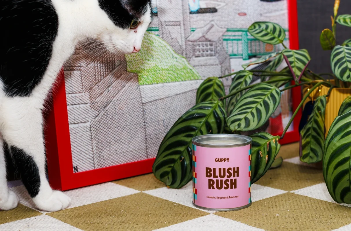 guppy_bougie-parfumee-blush-rush Blush Rush sur un tapis avec un puzzle en fond, un chat noir et blanc à gauche et une plante à droite
